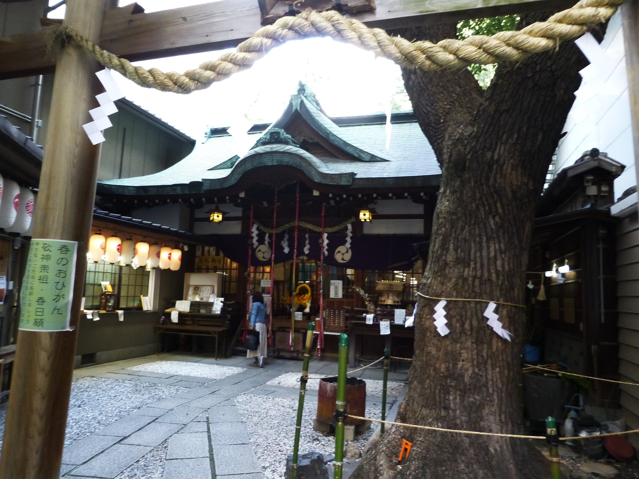 ⛩️ 스쿠나히코나 신사 이미지 5